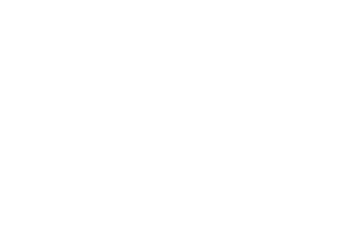 BDCI (비디씨아이)
