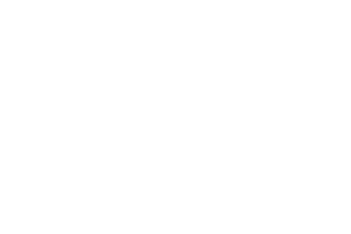 플레이크 (Flake)