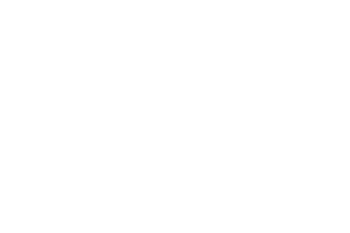 로호타입 (rojotype)